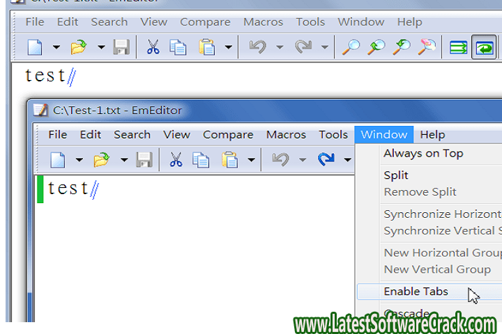 Emurasoft EmEditor Professional 21.8.1 free download