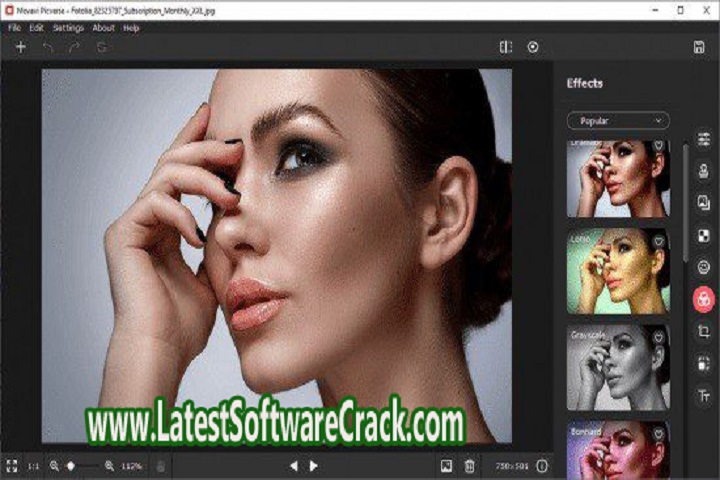 Mov avi Picverse 1.9.1 Free Download