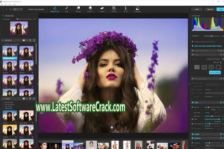 Perfectly Clear WorkBench 4.1.2.2312 Free Download