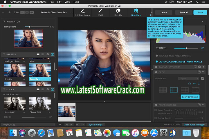 Perfectly Clear WorkBench 4.1.2.2312 Free Download