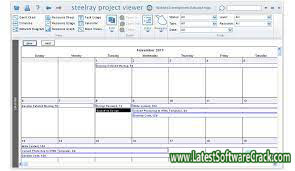 Steelray Project Viewer 6.9.0 Free Download