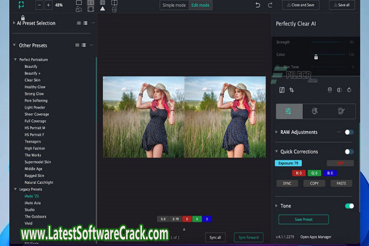 Perfectly Clear QuickDesk & QuickServer 4.2.0.2331 Free Download with crack