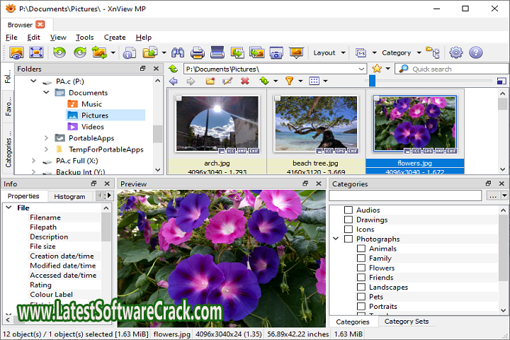 XnViewMP 1.3.0 Free Download with patch