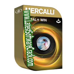 proDAD Mercalli V6 SAL Full 6.0.617.1 Free Download