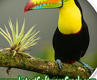 ACDSee Photo Studio Professional 2023 16.0.0.2324 Free Download