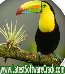 ACDSee Photo Studio Professional 2023 16.0.0.2324 Free Download