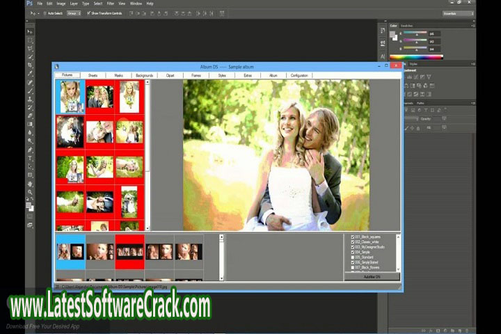 Album_DS_11.8 Free Download with Patch