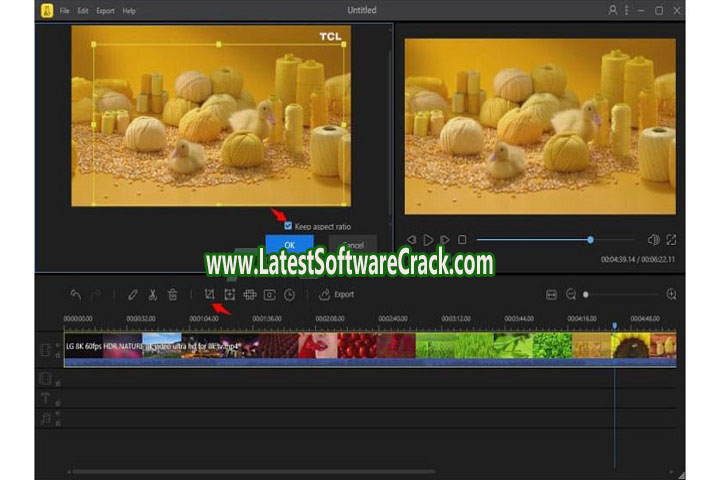 BeeCut 1.7.9.13 Free Download With Patch