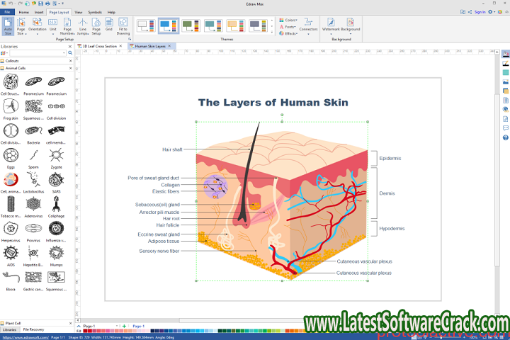 EdrawMax 12.0.1.923 Free download With Crack