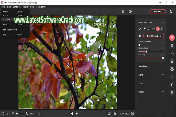 Movavi Picverse 1.11 Free Download With Patch