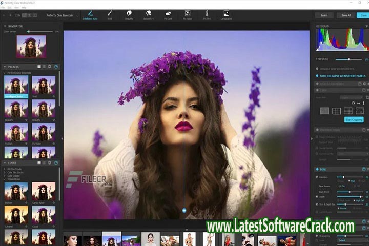 Perfectly Clear WorkBench 4.2.0.2333 Free Download with patch