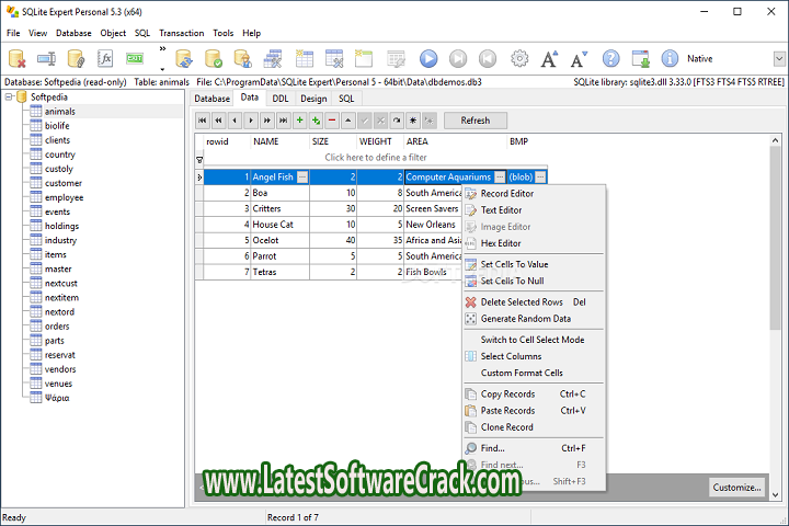 SQLite Professional 5.4.25.569 free download with crack