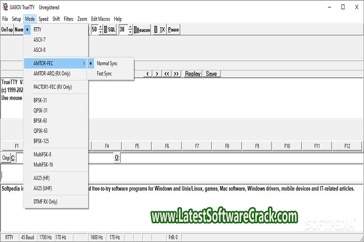 DXSoft TrueTTY 3.20 Free Download with Crack