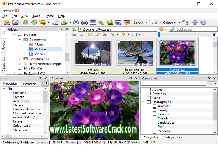 XnViewMP 1.3.0 Free Download With PatchXnViewMP 1.3.0 Free Download With Patch