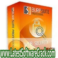 Burp Suite Professional 2022.11.4 Free Download