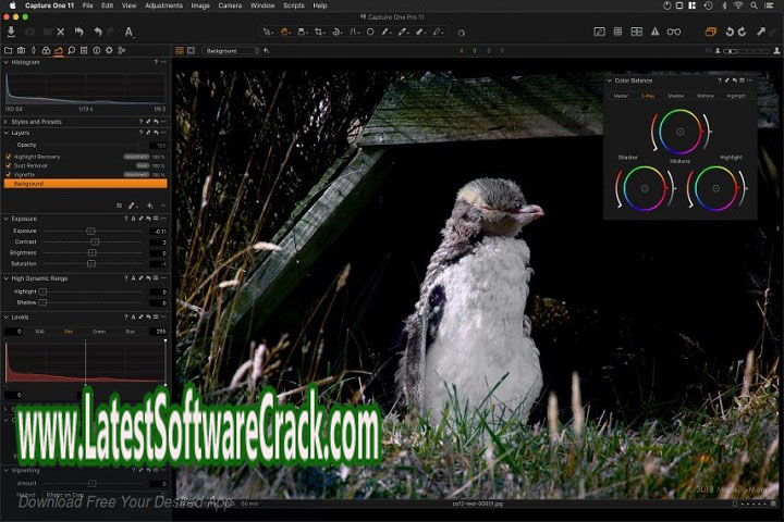 Capture One 23 Enterprise 16.0.1.20 Free Download with Patch