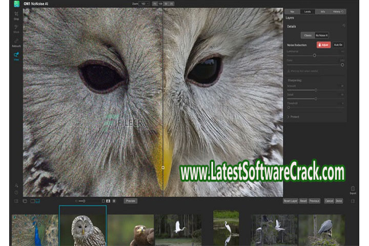 ON1 No Noise AI 2023 v17.0.1.12965 Free Download with Crack