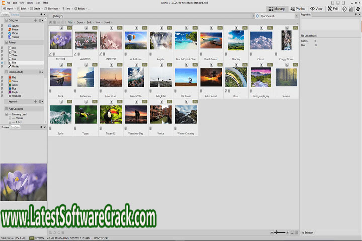 Acd see 1.0 Free Download with Crack