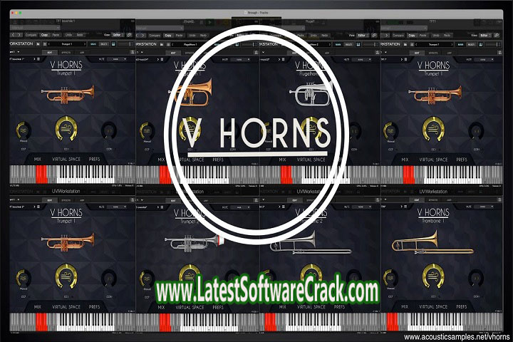 Acoustic samples V Horns 1.0 Free Download with Patch