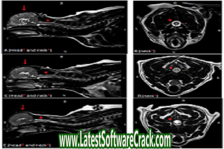 Syrinx Samples CS 15 D Free Download with Patch