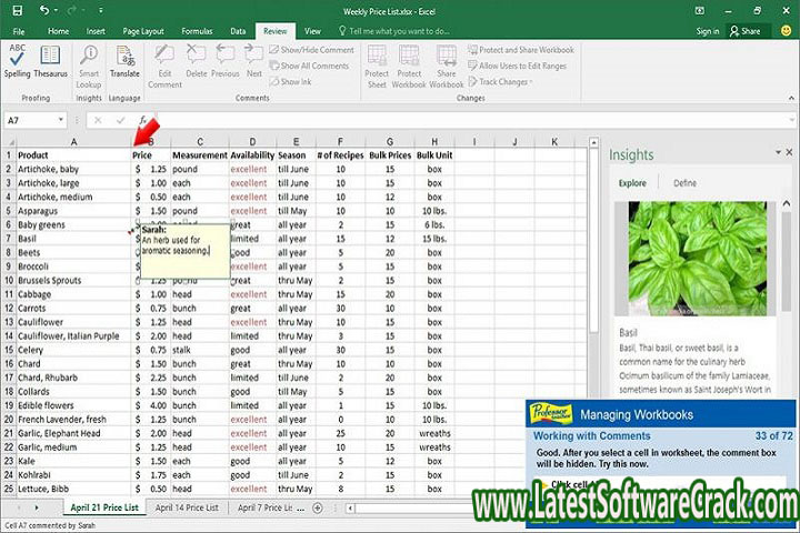 Professor Teaches Excel 2020 v 1.0 Free Download with Crack