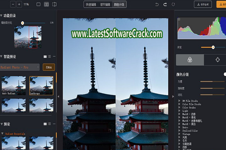 Radiant Photo 1.1.0.247 Free Download with Crack
