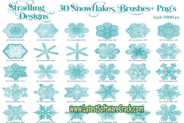 Creative Market 20 Winter Magic Photoshop Brushes 6258117 PC Software